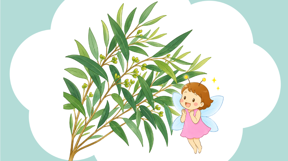ユーカリ アロマ まとめ
